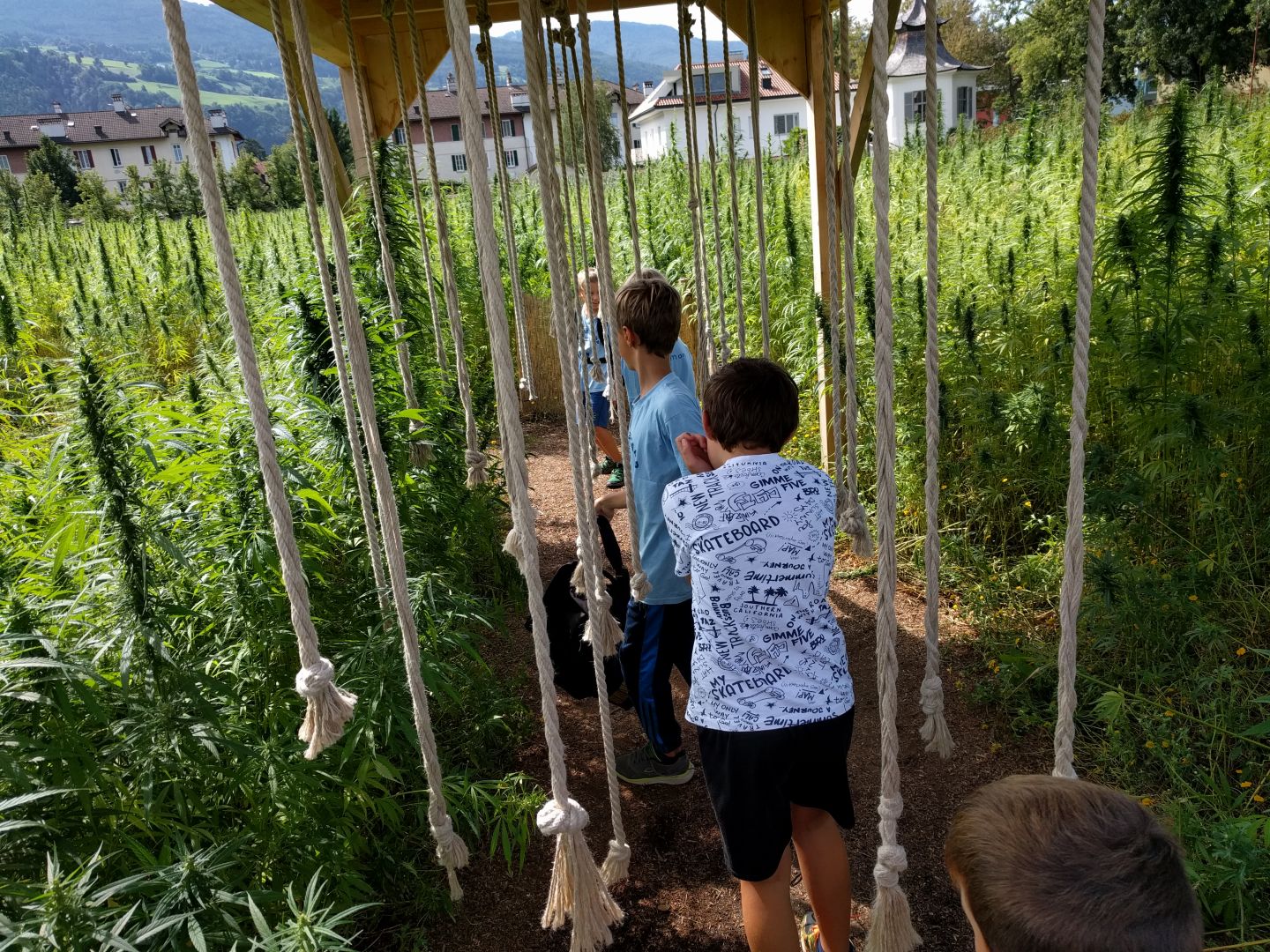 Sommercamp Sportcamp