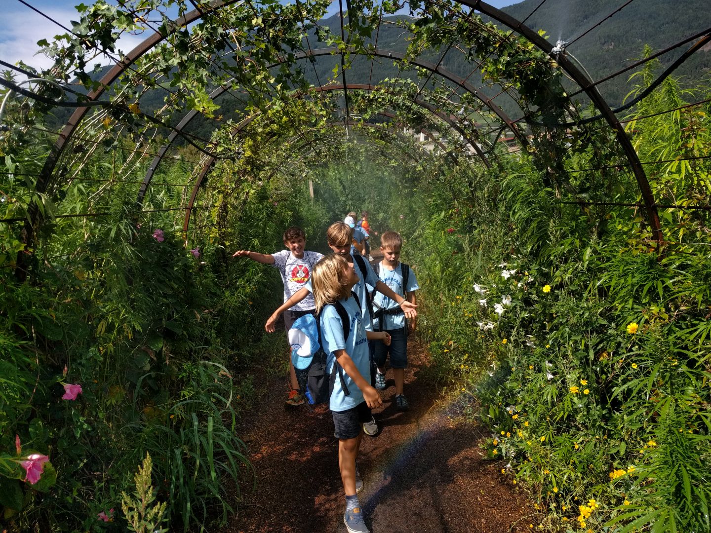 Sommercamp Sportcamp